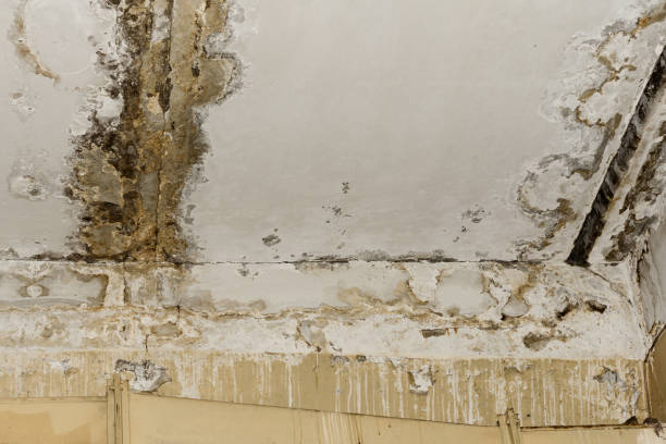 Professional Water damage restoration in Henryville, IN