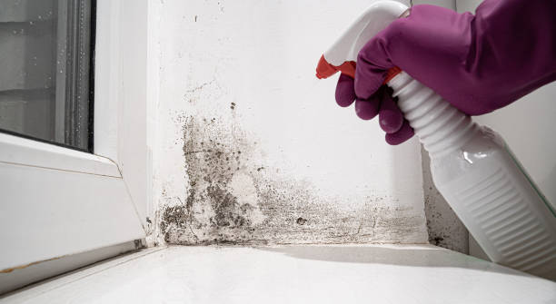 24/7 water damage repair in Henryville, IN